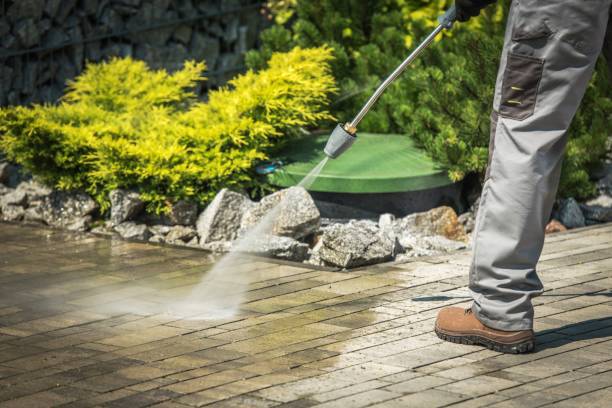 Best Residential Exterior Washing  in Farmingville, NY